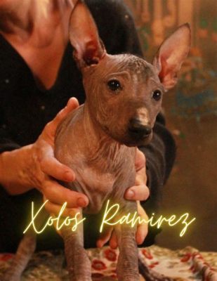  Flor de Xoloitzcuintli – En Mystisk Saga om Kärlek, Döden och Hunden som Svävar Mellan Världarna!